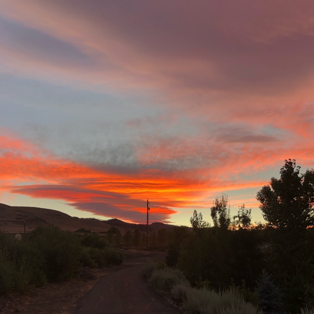 Meet your Posher, Mishell